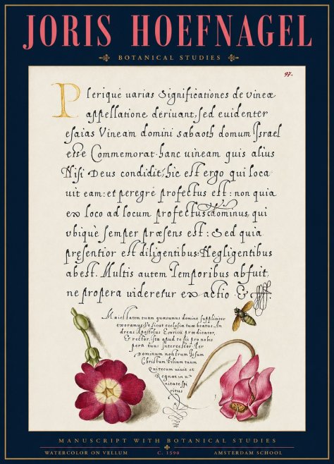 Joris Hoefnagel Manuscript with Botanical Studies No3 - Juliste