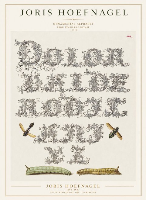 Joris Hoefnagel Ornamental Alphabet from Studies of Nature No1 - Juliste