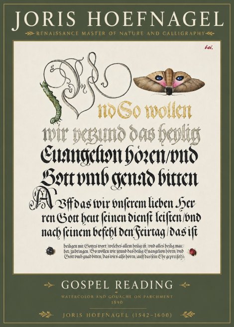 Joris Hoefnagel Gospel Reading No4 - Juliste