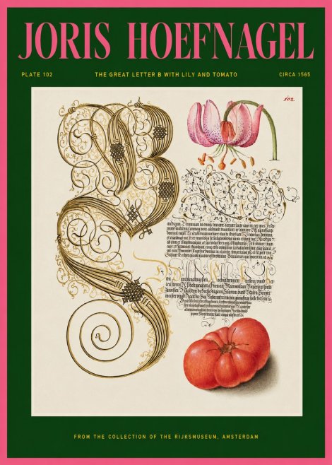 Joris Hoefnagel The Great Letter B with Lily and Tomato No2 - Juliste