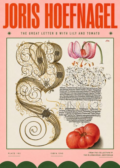 Joris Hoefnagel The Great Letter B with Lily and Tomato No4 - Juliste