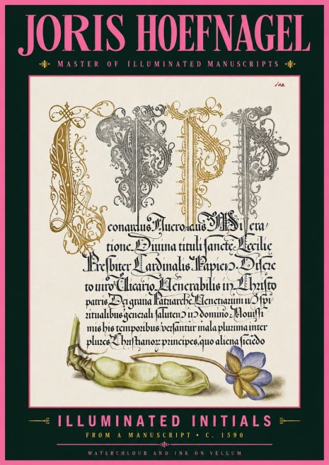 Joris Hoefnagel Illuminated Initials with Peapod and Flower No6 - Juliste