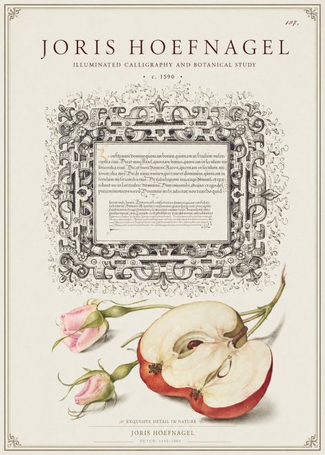 Joris Hoefnagel Illuminated Calligraphy and Botanical Study No1 - Juliste