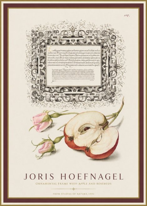 Joris Hoefnagel Illuminated Calligraphy and Botanical Study No2 - Juliste