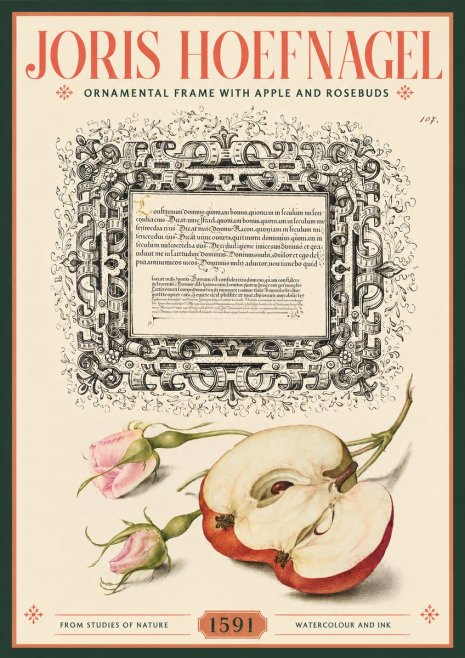 Joris Hoefnagel Illuminated Calligraphy and Botanical Study No3 - Juliste