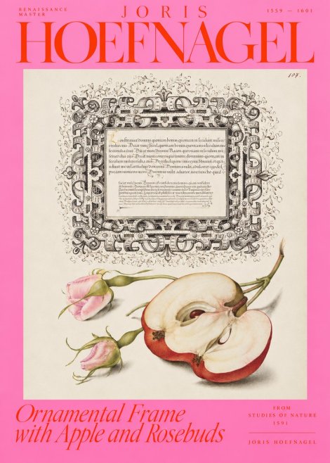 Joris Hoefnagel Illuminated Calligraphy and Botanical Study No4 - Juliste