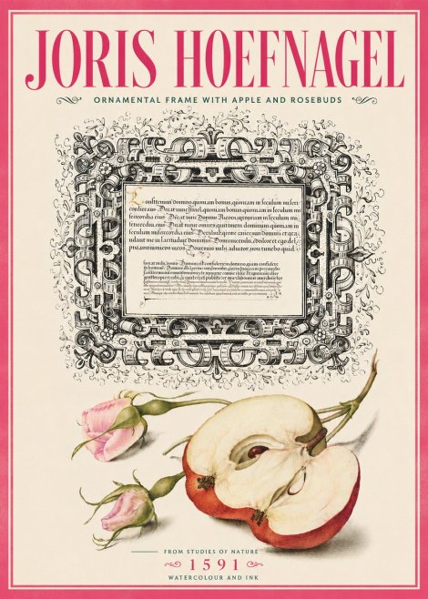 Joris Hoefnagel Illuminated Calligraphy and Botanical Study No6 - Juliste