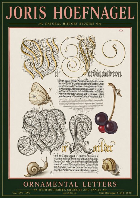 Joris Hoefnagel Ornamental Letters with Butterfly, Cherries and Snails No5 - Juliste