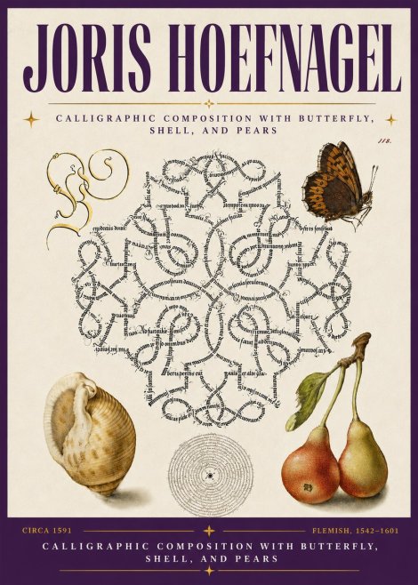 Joris Hoefnagel Calligraphic Composition with Butterfly, Shell, and Pears No6 - Juliste