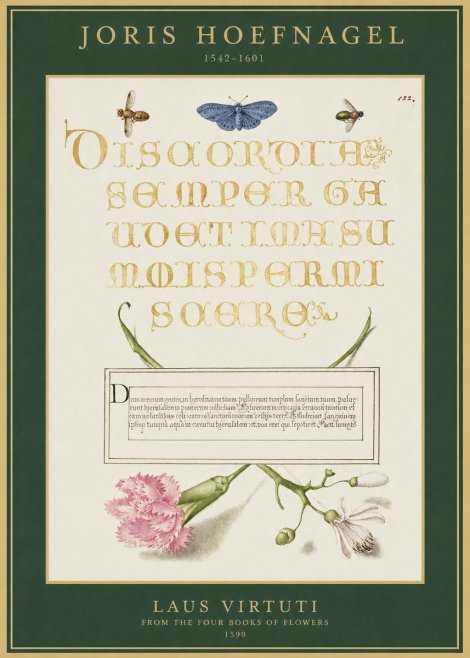Joris Hoefnagel Laus Virtuti No1 - Juliste
