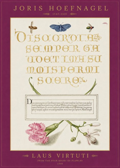 Joris Hoefnagel Laus Virtuti No2 - Juliste