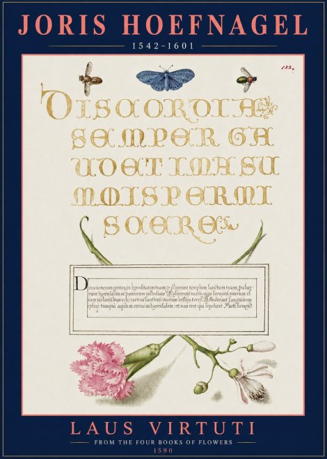 Joris Hoefnagel Laus Virtuti No3 - Juliste