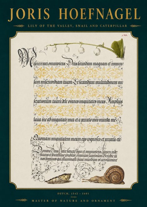 Joris Hoefnagel Lily of the Valley, Snail and Caterpillar No2 - Juliste