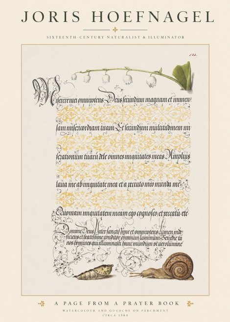 Joris Hoefnagel Lily of the Valley, Snail and Caterpillar No6 - Juliste