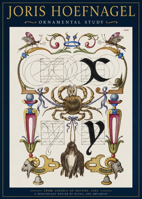 Joris Hoefnagel Ornamental Study II No2 - Juliste