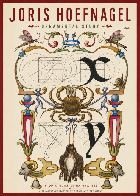 Joris Hoefnagel Ornamental Study II No3 - Juliste