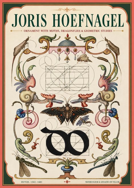 Joris Hoefnagel Ornament with Moths, Dragonflies & Geometric Studies No4 - Juliste