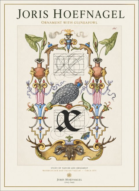 Joris Hoefnagel Ornament with Guineafowl No1 - Juliste