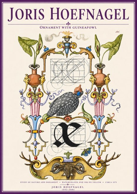 Joris Hoefnagel Ornament with Guineafowl No3 - Juliste