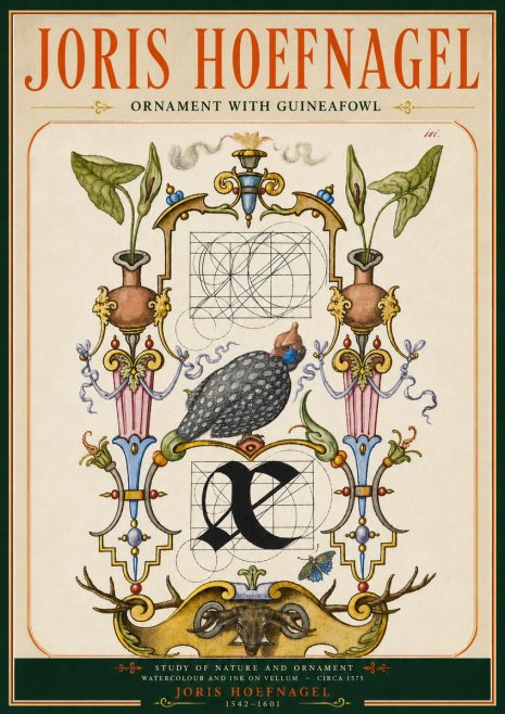 Joris Hoefnagel Ornament with Guineafowl No5 - Juliste
