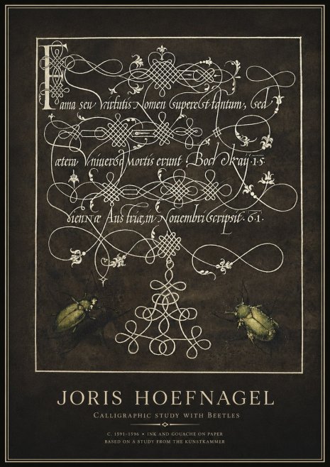 Joris Hoefnagel Calligraphic Study with Beetles No1 - Juliste