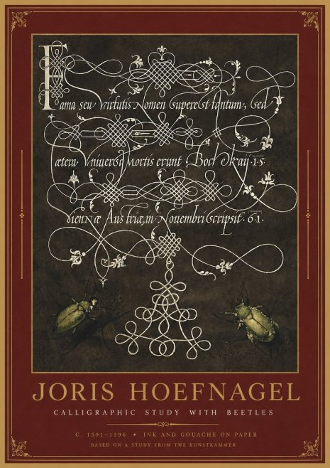 Joris Hoefnagel Calligraphic Study with Beetles No2 - Juliste
