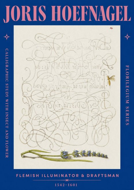 Joris Hoefnagel Calligraphic Study with Insect and Flower No2 - Juliste