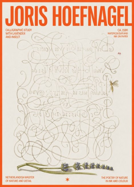 Joris Hoefnagel Calligraphic Study with Insect and Flower No6 - Juliste