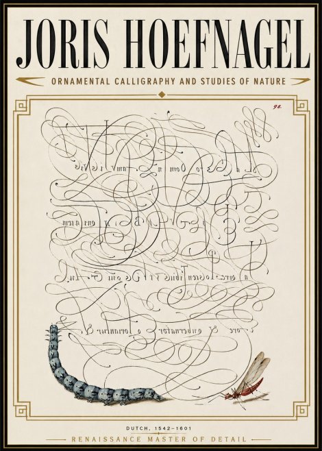 Joris Hoefnagel Ornamental Calligraphy and Studies of Nature No6 - Juliste