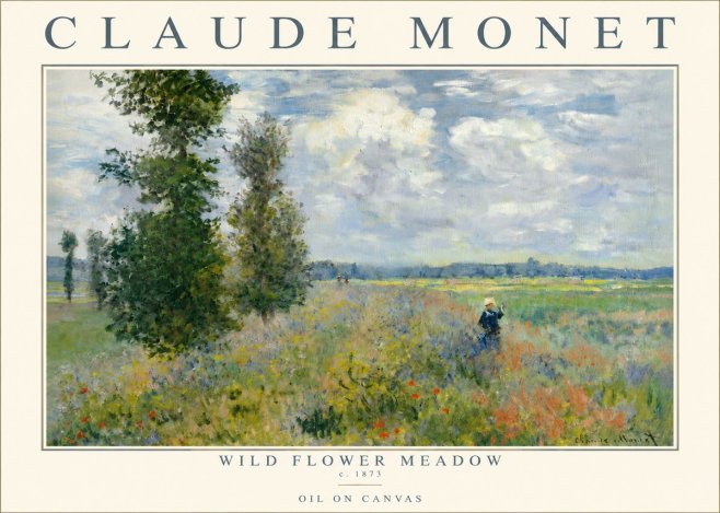 Monet Wild Flower Meadow No3 - Juliste