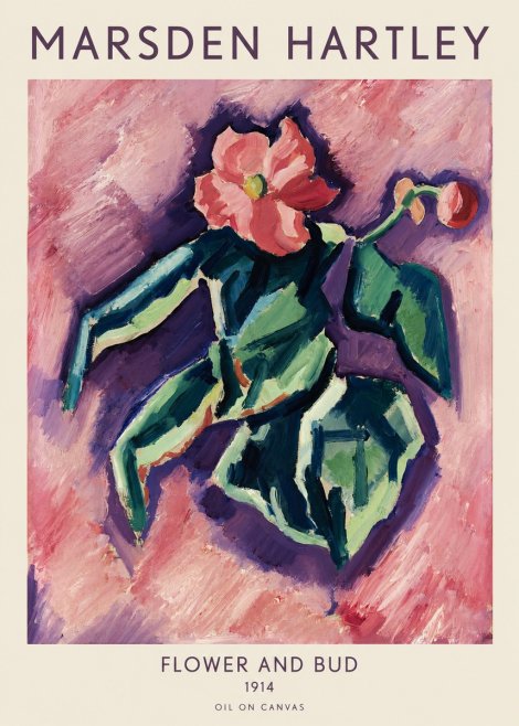 Marsden Hartley Flower and Bud No1 - Juliste