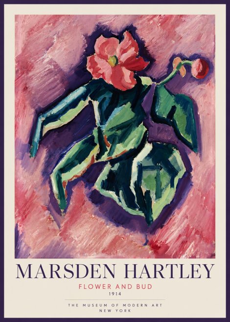 Marsden Hartley Flower and Bud No2 - Juliste