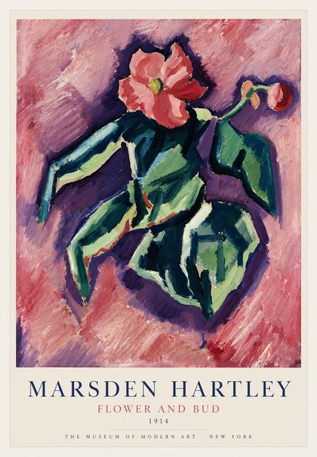 Marsden Hartley Flower and Bud No3 - Juliste
