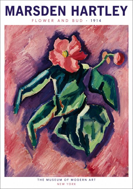 Marsden Hartley Flower and Bud No6 - Juliste