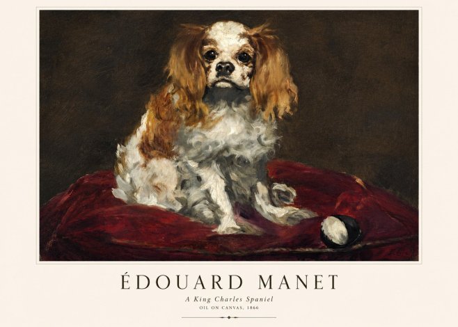 Édouard Manet A King Charles Spaniel No1 - Juliste