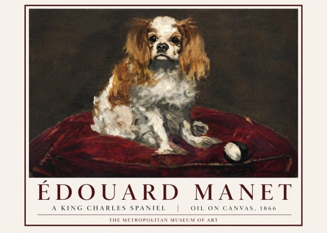Édouard Manet A King Charles Spaniel No3 - Juliste