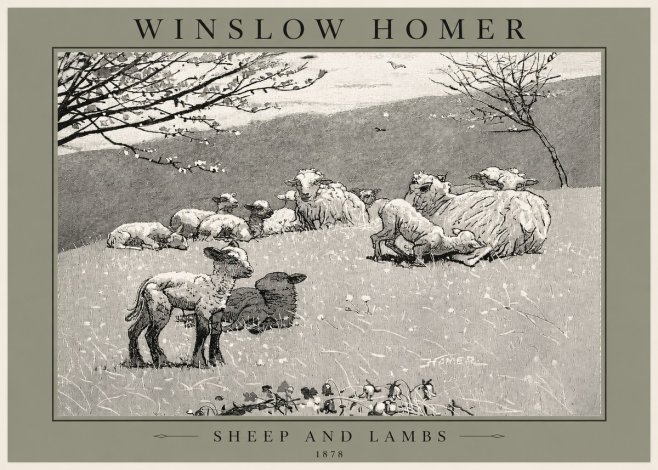 Winslow Homer Sheep and Lambs No2 - Juliste