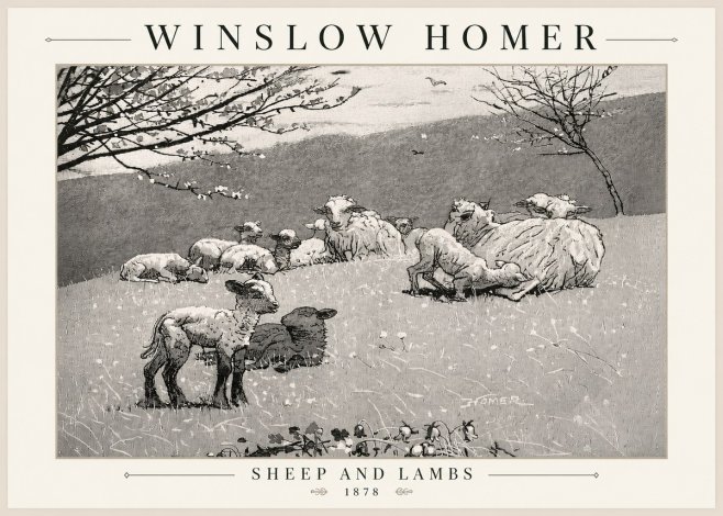 Winslow Homer Sheep and Lambs No5 - Juliste