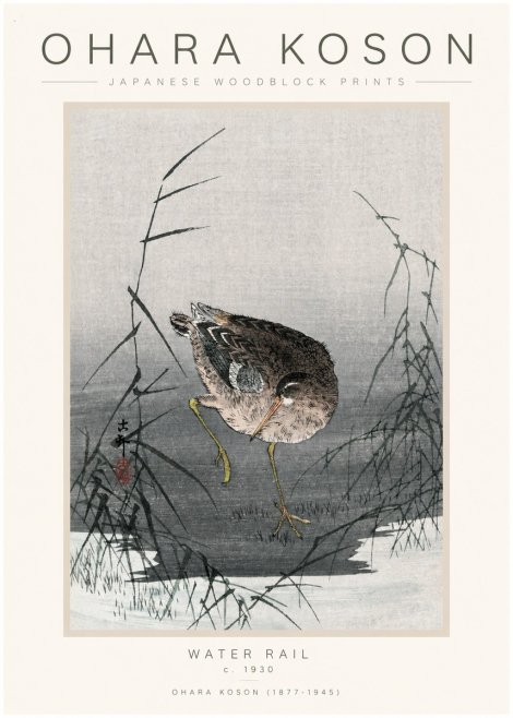 Ohara Koson Water Rail No1 - Juliste