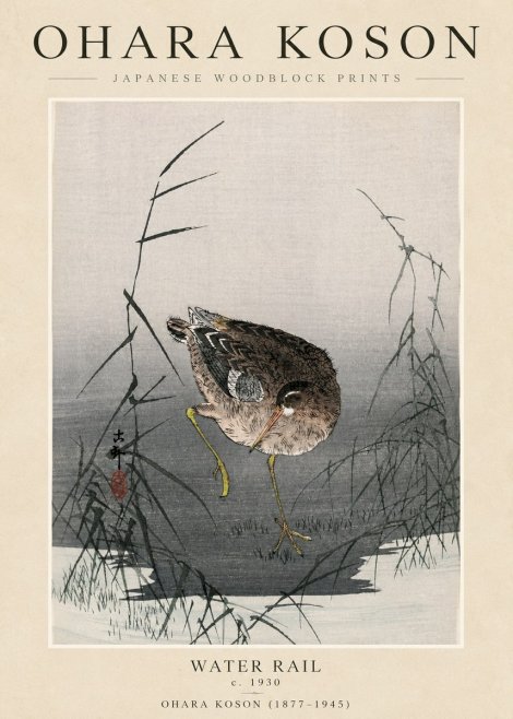 Ohara Koson Water Rail No3 - Juliste