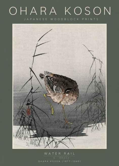 Ohara Koson Water Rail No5 - Juliste