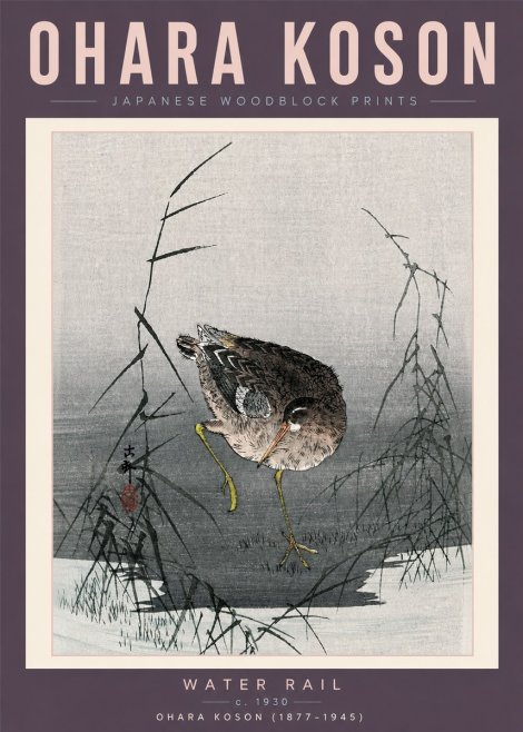 Ohara Koson Water Rail No6 - Juliste