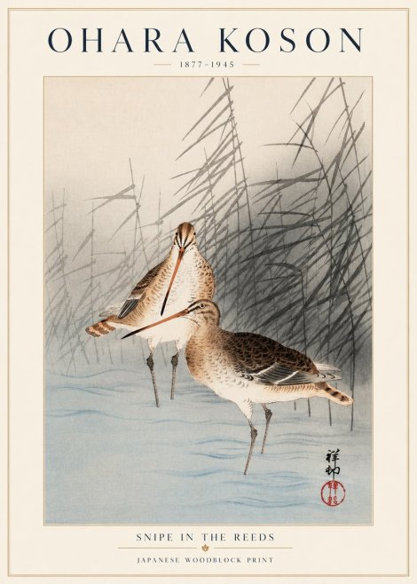 Ohara Koson Snipe in the Reeds No1 - Juliste