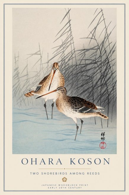 Ohara Koson Snipe in the Reeds No2 - Juliste