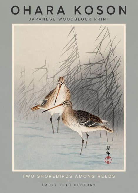 Ohara Koson Snipe in the Reeds No3 - Juliste