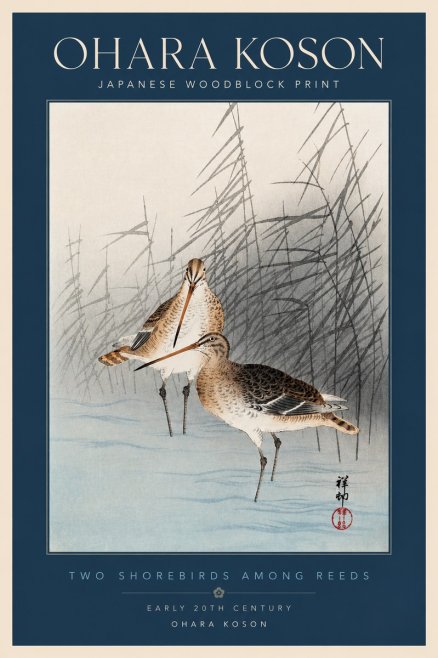 Ohara Koson Snipe in the Reeds No4 - Juliste