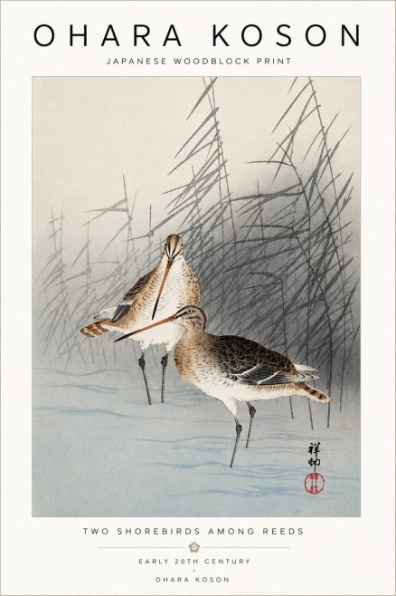 Ohara Koson Snipe in the Reeds No5 - Juliste