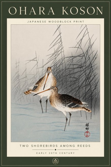 Ohara Koson Snipe in the Reeds No6 - Juliste