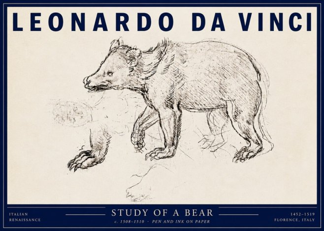 Leonardo da Vinci Study of a Bear No3 - Juliste