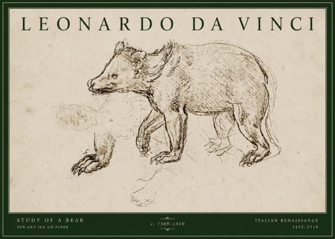 Leonardo da Vinci Study of a Bear No4 - Juliste